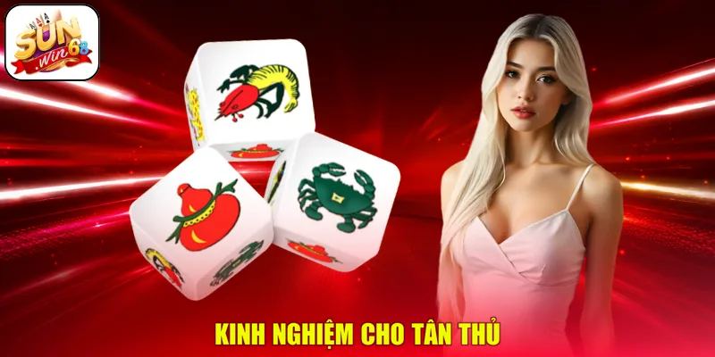 Kinh nghiệm cho tân thủ